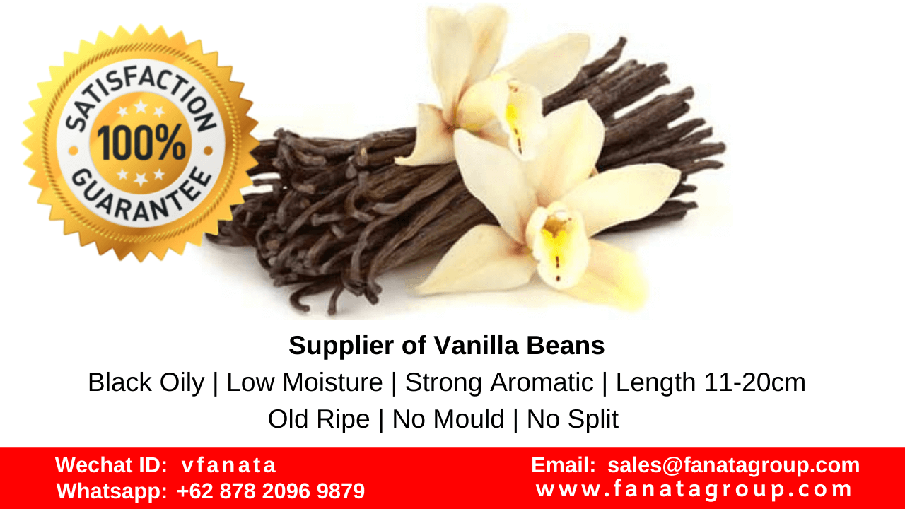 Supplier sell vanilla planifolia bean extract in Indonesia Factory Farm