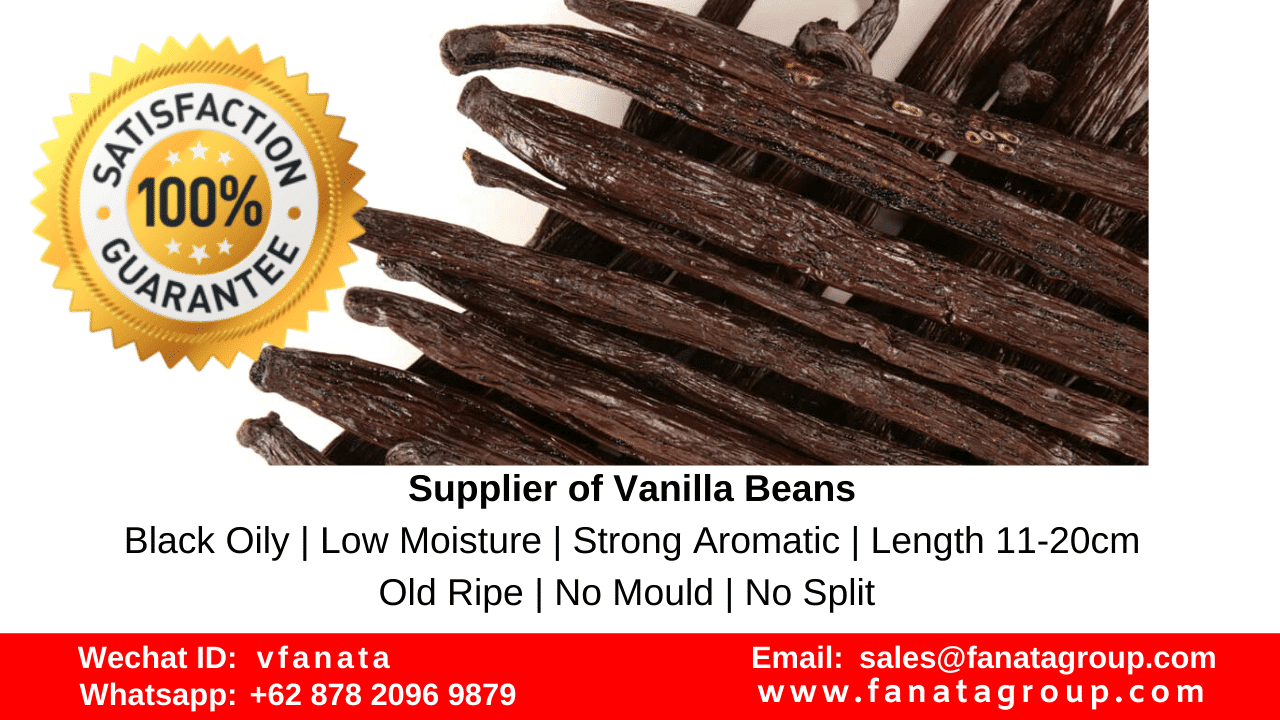 Tahitian Vanilla Beans For Vanilla Extract Supplier Farm Factory