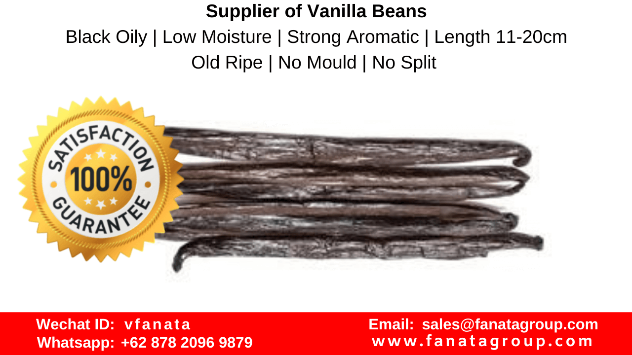 Vanilla beans supplier manila, vietnam, thailand, south korea, japan