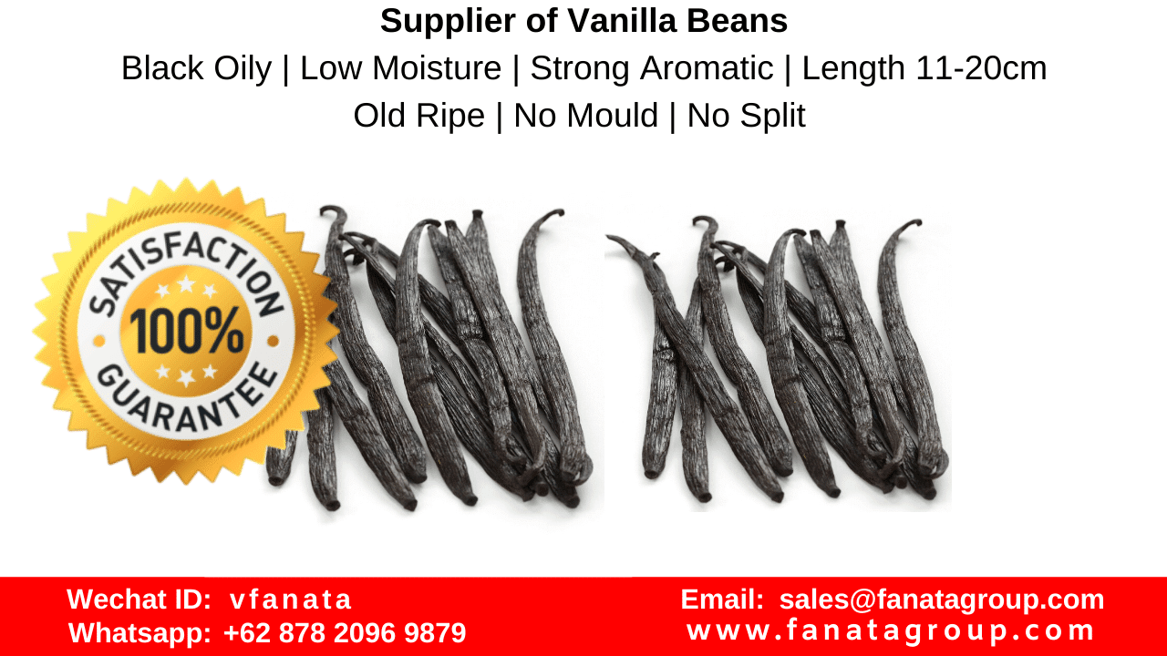 Vanilla beans restaurant supply vanilla factory supplier, tahitian planifolia vanilla