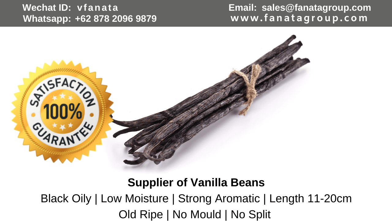 Planifolia Tahitian vanilla bean supplier in south africa, srilanka, india, sell in bulk, supplier, farm