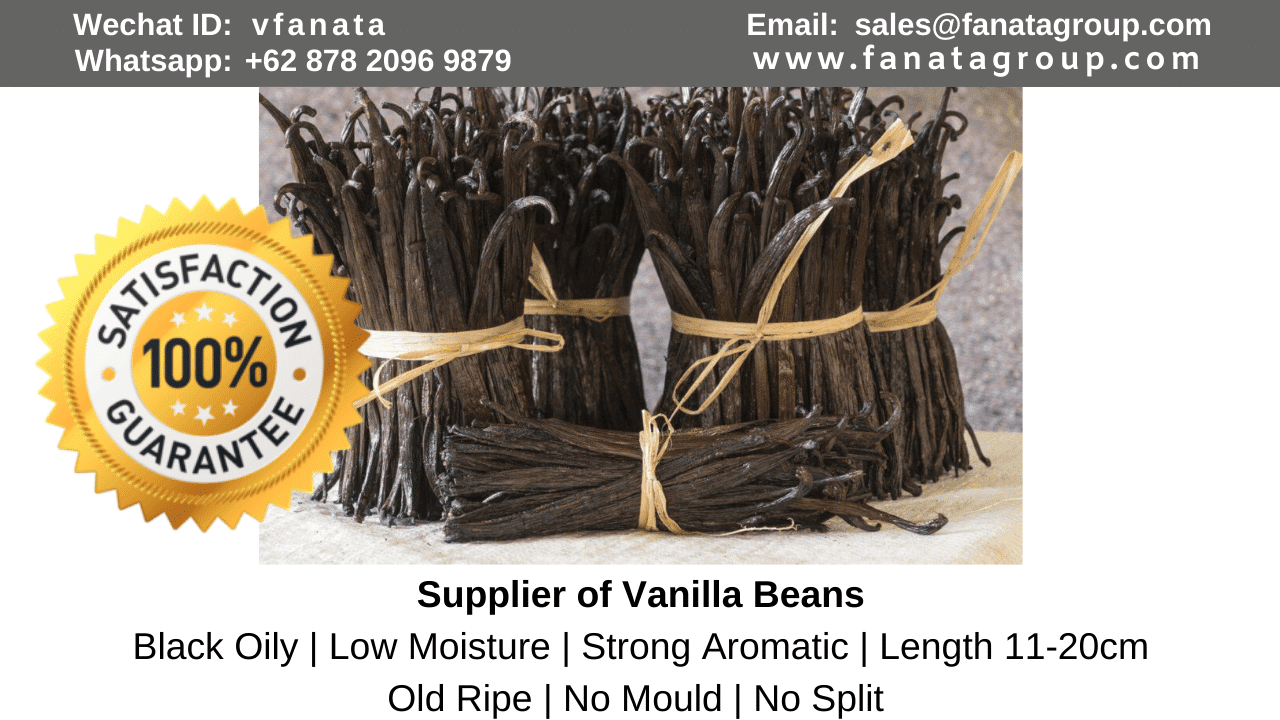 vanilla bean supplier in south africa, canada, united states, south korea, planifolia, tahitian