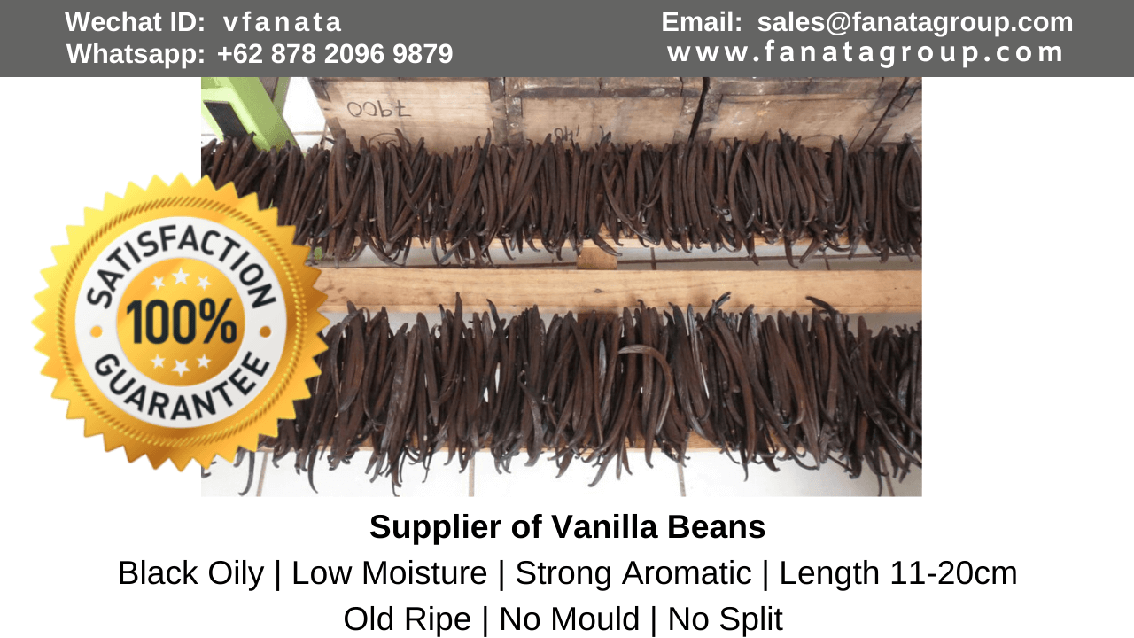 planifolia vanilla beans supplier sell in bulk indonesia, papua new guinea, australia south korea