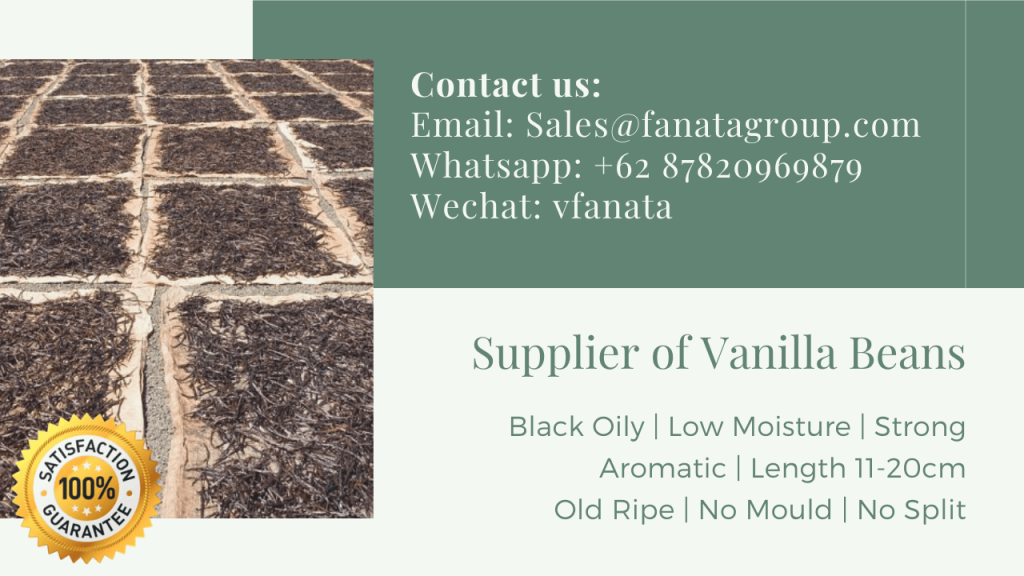 Vanilla Beans in The USA supplier