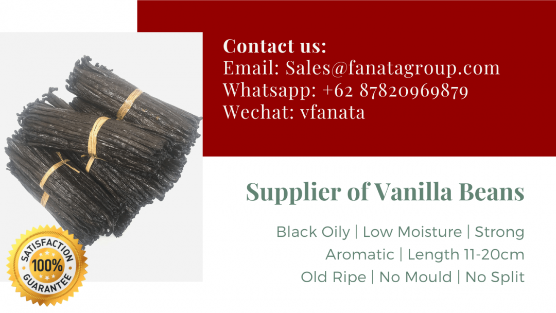 Smoothy Business With Reliable Vanilla Beans Bulk Grade B