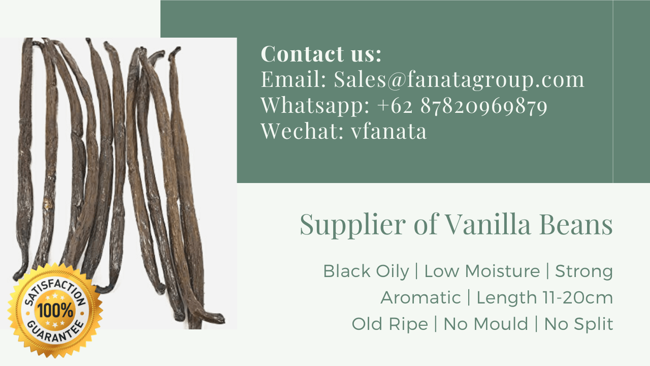 Vanilla bean bulk grade B dried vanilla supplier