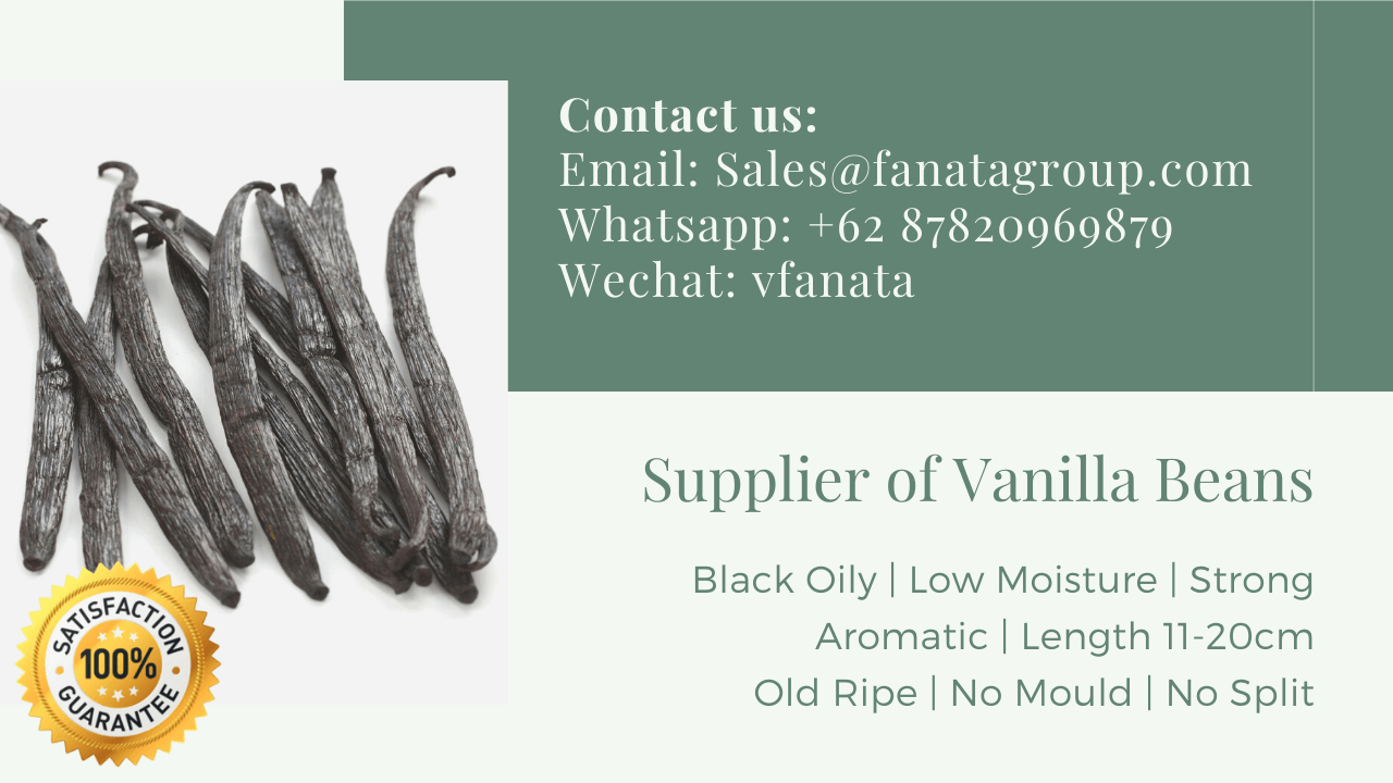 France Italy Spain Vanilla tahitensis planifoliabeans supplier tahi