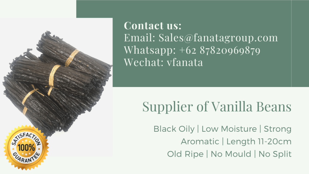 Vanilla Beans For Sale From Indonesia Supplier Wholesale price