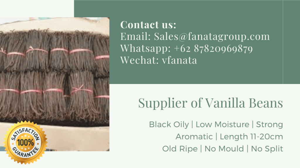 Vanilla Bean Supplier in Indonesia, Planifolia and Tahitensis