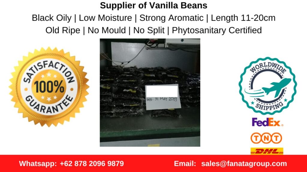 PNG Vanilla Bean wholesale price, Indonesia supplier