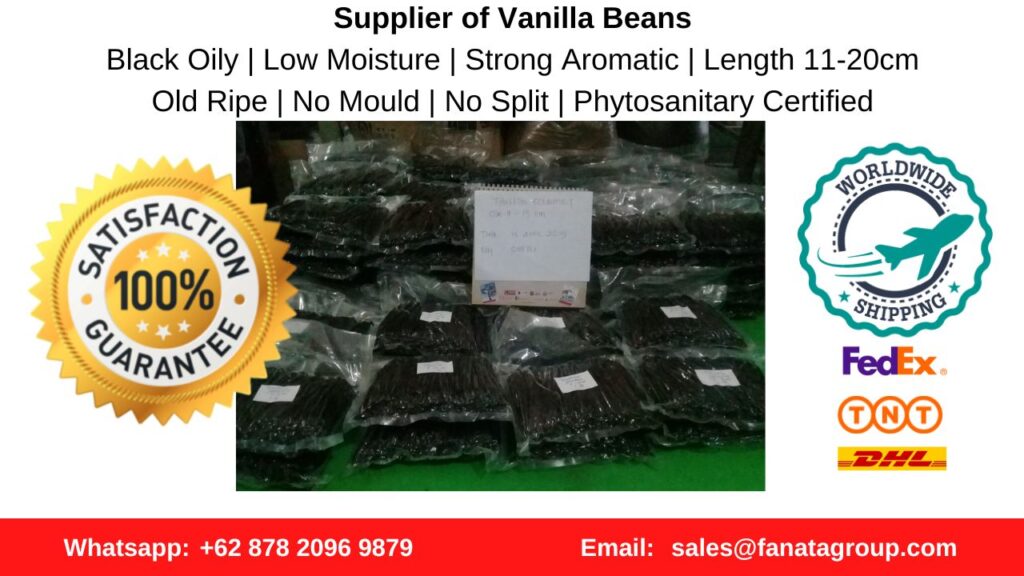 Supplier Vanilla Beans in Indonesia, Malaysia, Japan, Korea, PNG