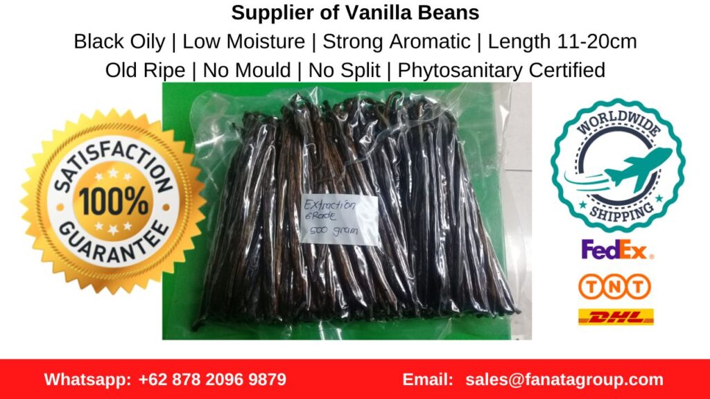 Grade A Vanilla Beans Tahitian Planifolia Indonesia PNG