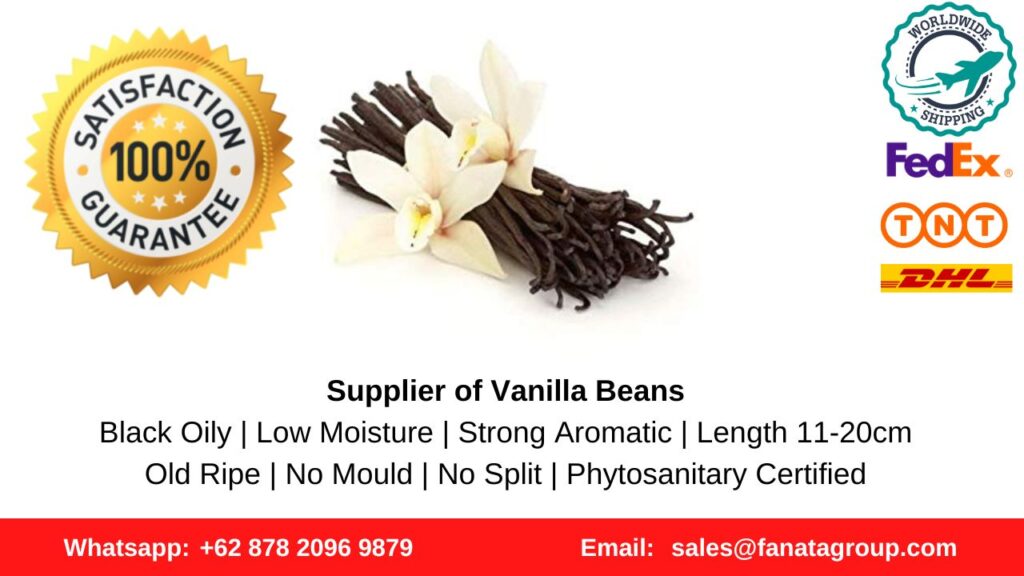 Tips To Sell Vanilla Beans Tahitian Planifolia PNG