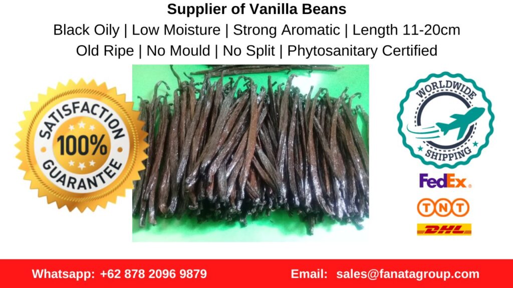 Papua New Guinea Vanilla Beans History and Characteristics for sale wholesale