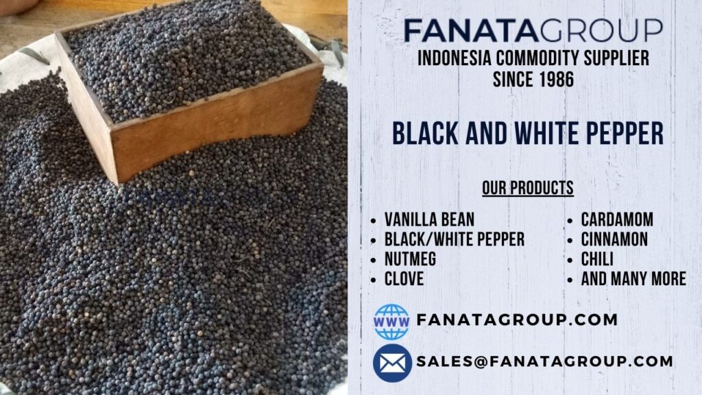 Indonesia black pepper supplier