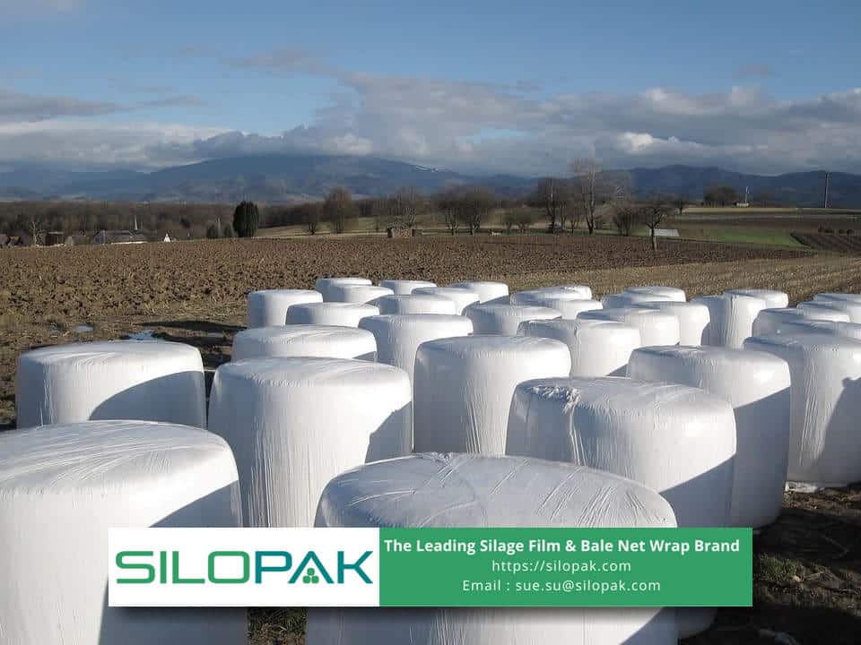 silage film supplier china